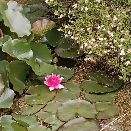 Panzió La Chapelle Dinant